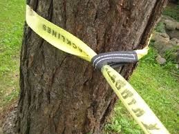 Beli Adjustable Balance Polyester Tightrope Walking Strap Untuk Olahraga Luar Ruangan online manufacture