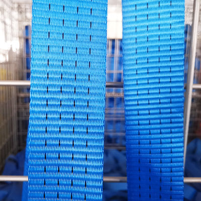Beli 5000KG Tie Down Strap Polyester Webbing Roll Lebar 75mm online manufacture
